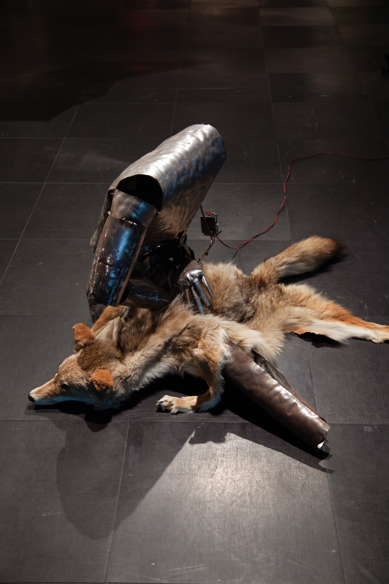 Olivier Heaps-Drolet